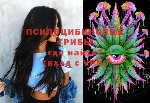 бутират Богородицк