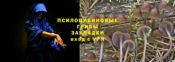 хмурый Богородск
